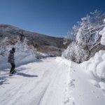 Kuju Forest Park Skiing Grounds Day Tour from Fukuoka - The Itinerary in Detail