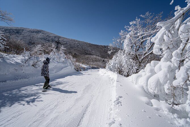 Kuju Forest Park Skiing Grounds Day Tour from Fukuoka - The Itinerary in Detail