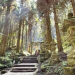 Kumamoto: Aso Volcano, Private Tour & Washi Paper Workshop - The Full Experience: A Deep Dive into the Tour