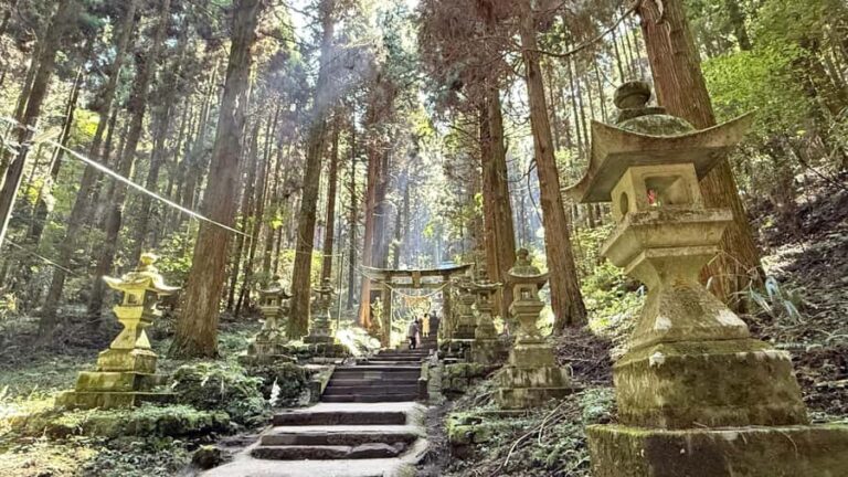 Kumamoto: Aso Volcano, Private Tour & Washi Paper Workshop - The Full Experience: A Deep Dive into the Tour