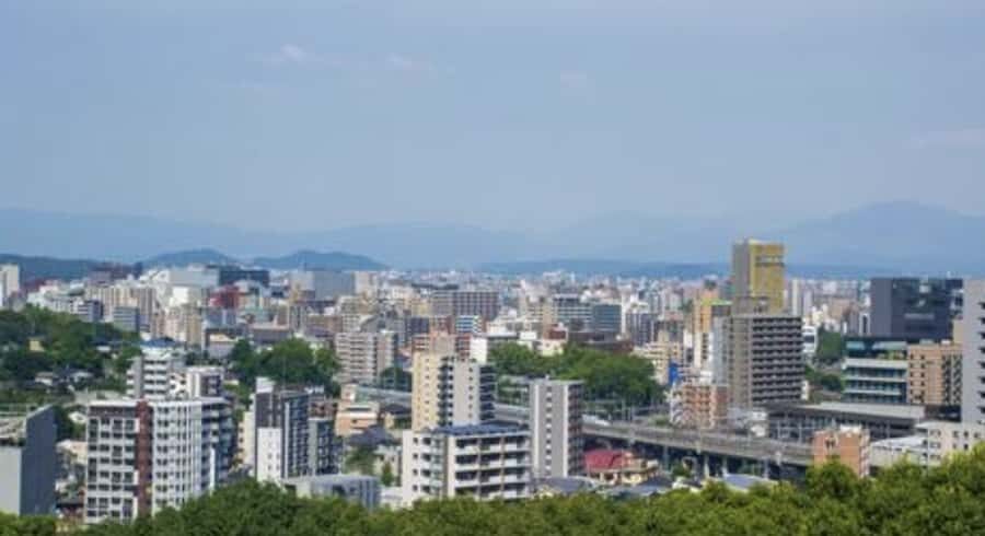 Kumamoto: Samurai Heritage Private Tour with Local Guide - Practical Details and Value