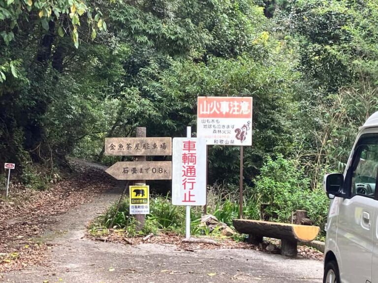 Kumano Kodo: Shishigase Pass Hike and Hot Spring Tour - Practical Details and Why They Matter