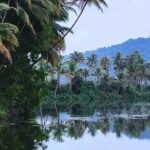 Kumarakom Explore Backwaters & Birds at Coconut Lagoon Pick&Drop - Who Should Consider This Tour?