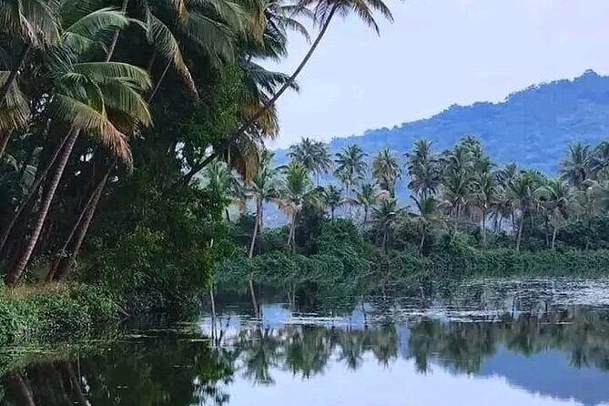 Kumarakom Explore Backwaters & Birds at Coconut Lagoon Pick&Drop - Who Should Consider This Tour?