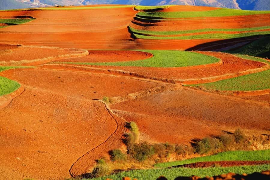Kunming: Dongchuan Red Land Private Day Tour - Practical Aspects of the Tour