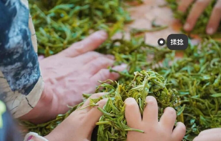 Kunming Private Tea-Making Experience with Hotel Pickup - The Practical Details: What Makes This Tour Valuable
