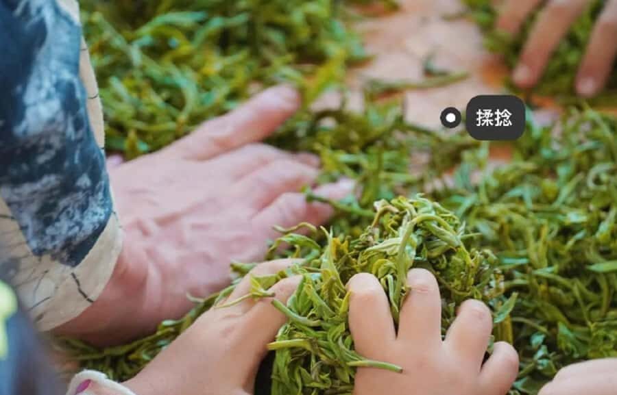 Kunming Private Tea-Making Experience with Hotel Pickup - The Practical Details: What Makes This Tour Valuable