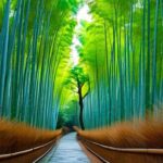 Kyoto: 10-Hour Private Custom Highlights Guided Tour by Car - Practical Details and What to Expect