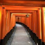 Kyoto: Afternoon E-Bike Tour to Fushimi Inari - What We Love & What to Consider