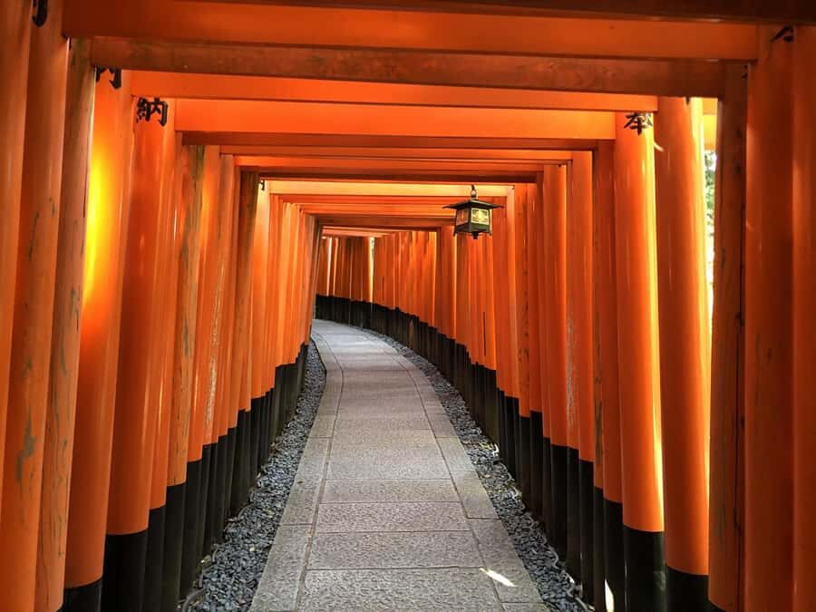 Kyoto: Afternoon E-Bike Tour to Fushimi Inari - What We Love & What to Consider