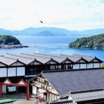 Kyoto Amanohashidate, Ine Funaya, and Ine Bay Day Tour - What Travelers Say: Authentic Insights from Reviews