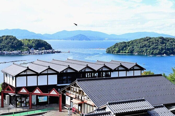 Kyoto Amanohashidate, Ine Funaya, and Ine Bay Day Tour - What Travelers Say: Authentic Insights from Reviews