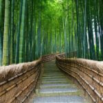 Kyoto and Miyama Full Day Tour from Osaka - Transportation and Overall Value