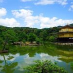 Kyoto and Nara Day Tour from Kyoto - Practical Details and What to Expect