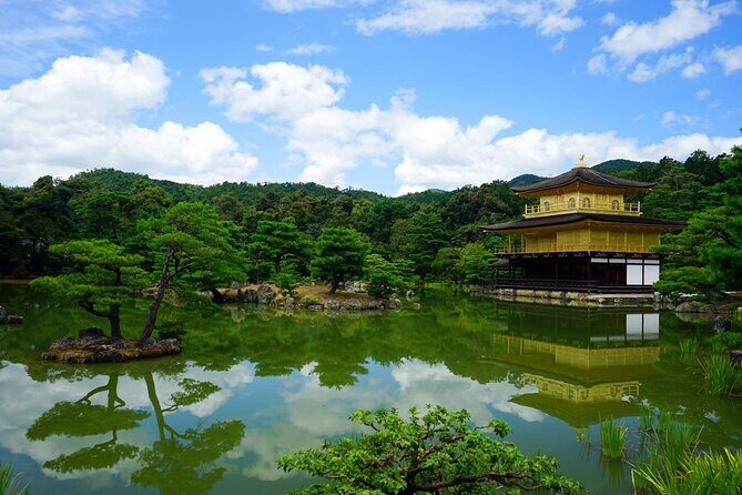 Kyoto and Nara Day Tour from Kyoto - Practical Details and What to Expect