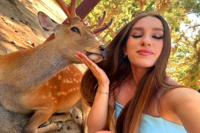 Kyoto and Nara Day Tour From Osaka with Deer Sightings - Transportation and Group Size