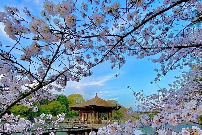 Kyoto and Nara Day Tour from Osaka - Who Will Love This Tour?