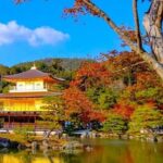 Kyoto and Nara Private Customizable Day Trip by Luxury Car - What Makes This Tour Stand Out