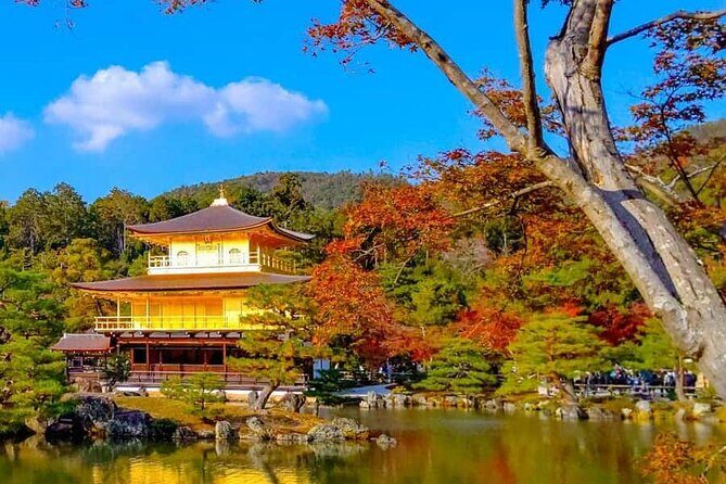 Kyoto and Nara Private Customizable Day Trip by Luxury Car - What Makes This Tour Stand Out