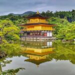 Kyoto and Nara: private tour with English speaking Guide - Who Should Consider This Tour?