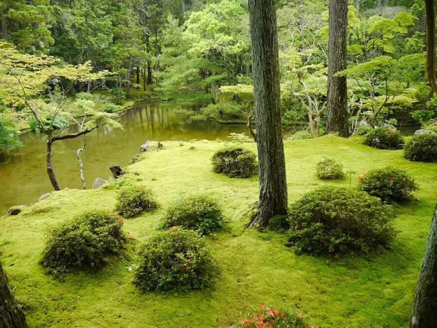 Kyoto: Arashiyama and Sagano Guided Walking Tour - Final Thoughts