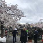 Kyoto Arashiyama Bamboo forest & Golden Pavilion E-Bike Tour - Who Will Love This Tour?