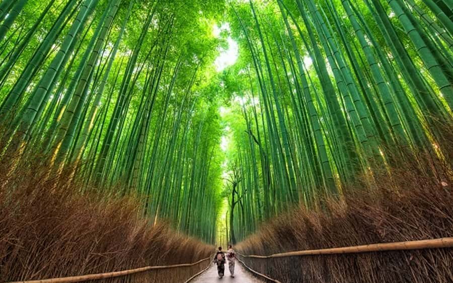 Kyoto: Arashiyama Chopstick Carving Workshop - The Sum Up