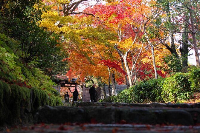 Kyoto Arashiyama Easy Walk Tour - Final Thoughts