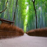 Kyoto Arashiyama: Fall Foliage Walking TourAutumn's limited - Practical Insights and What to Expect