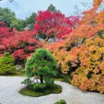 Kyoto Autumn Foliage Private Car Tour Temples and Gardens - What You’ll Experience at Each Site