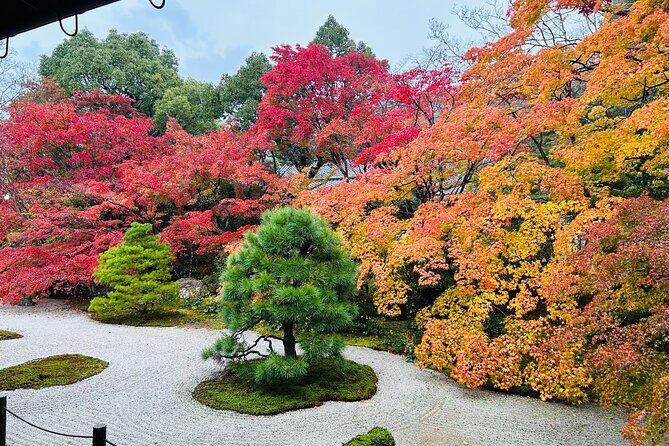 Kyoto Autumn Foliage Private Car Tour Temples and Gardens - What You’ll Experience at Each Site