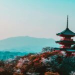 Kyoto: Best Food Tour With a Guide - What Makes This Tour Stand Out?