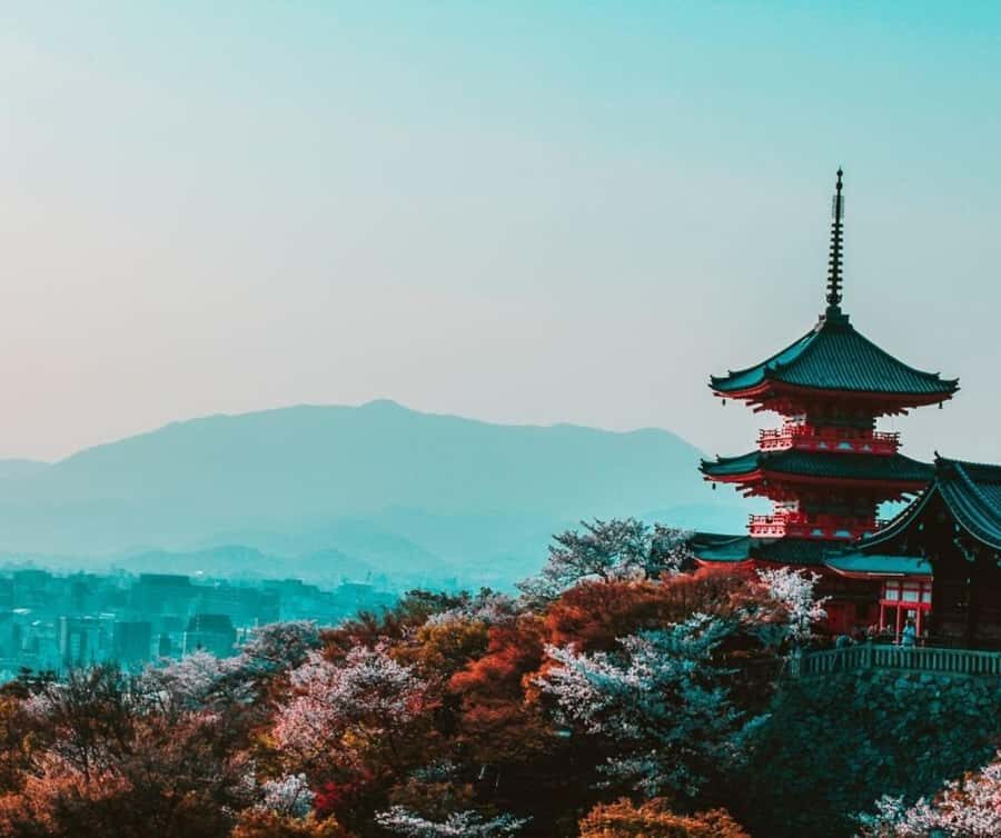 Kyoto: Best Food Tour With a Guide - What Makes This Tour Stand Out?