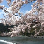 Kyoto Bus Tour: Arashiyama, Kinkaku-ji, Fushimiinari Shrine BF - Who Would Love This Tour?