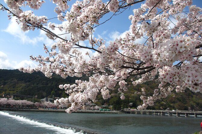 Kyoto Bus Tour: Arashiyama, Kinkaku-ji, Fushimiinari Shrine BF - Who Would Love This Tour?