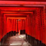 Kyoto City Private Full Day Tour - The Flexibility of a Custom Itinerary