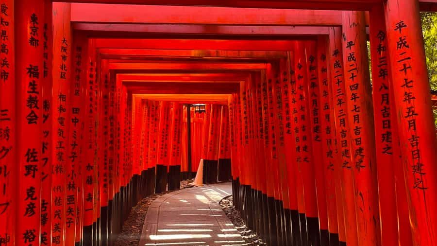 Kyoto City Private Full Day Tour - The Flexibility of a Custom Itinerary