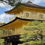 Kyoto Day Trip from Tokyo by Bullet Train Private Tour - What Reviewers Say