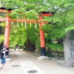 Kyoto: Discover Ujis Two Hidden World Heritage Treasures - Practical Details and Experience Quality