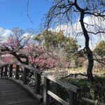 Kyoto Early Bird Half Day Private Tour with Transfer - Who Would Love This Experience?