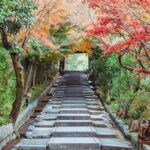 Kyoto East Early Morning Walking Tour - Practical Tips and Considerations