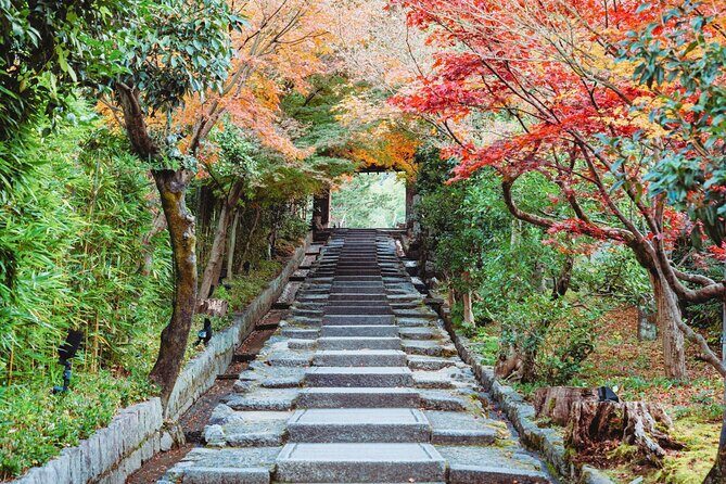 Kyoto East Early Morning Walking Tour - Practical Tips and Considerations