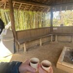 Kyoto Essentials Half Day Walking Tour with Cultural Expert - FAQs About the Kyoto Essentials Half Day Walking Tour