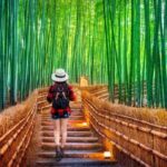 Kyoto Full Day Customizable Private Tour with English Guide - What Makes This Tour Stand Out
