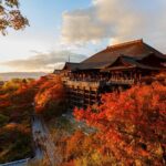 Kyoto: Fushimi Inari Taisha, Kiyomizu-dera & Gion Private Tour - What Past Travelers Say (Insights from Reviews)