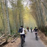Kyoto Gion & Fushimi E-Bike Tour with Hotel Transfer - What to Expect: Practical Details