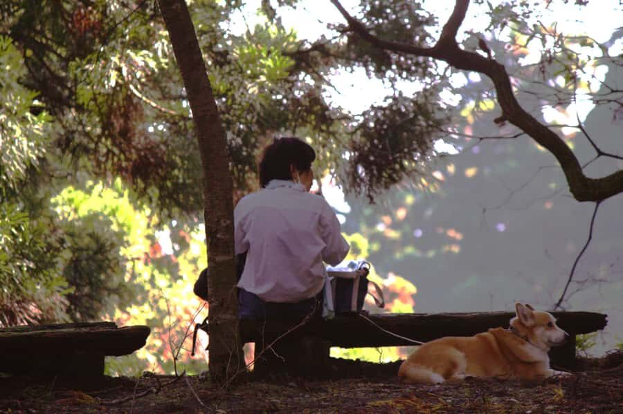 Kyoto: Guided Hike to Mt. Atago, Kyotos Highest Peak - The Itinerary in Detail