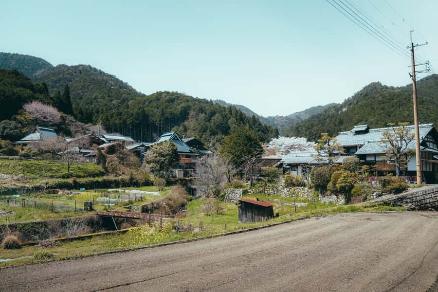 Kyoto: Hidden Gems and Local Neighborhoods - Discovering Kyoto’s Quiet Side: What You Can Expect