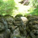 Kyoto: Hidden Temples Guided Tour with Arashiyama Visit - Visiting Gio-ji: Moss Gardens and Rustic Charm