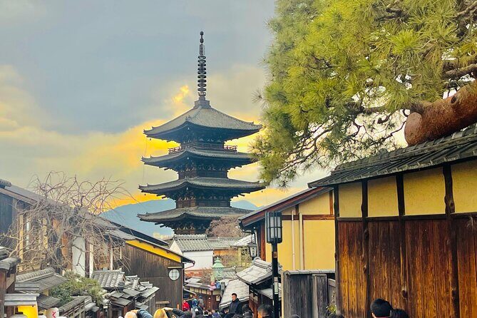 Kyoto Highlights Private Car Day Tour with English Speaking Guide - Who Will Love This Tour?
